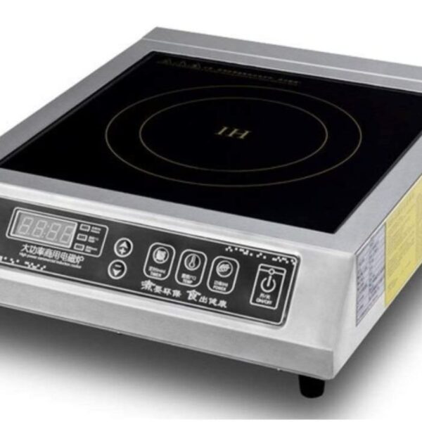 ELECTRIC INDUCTION